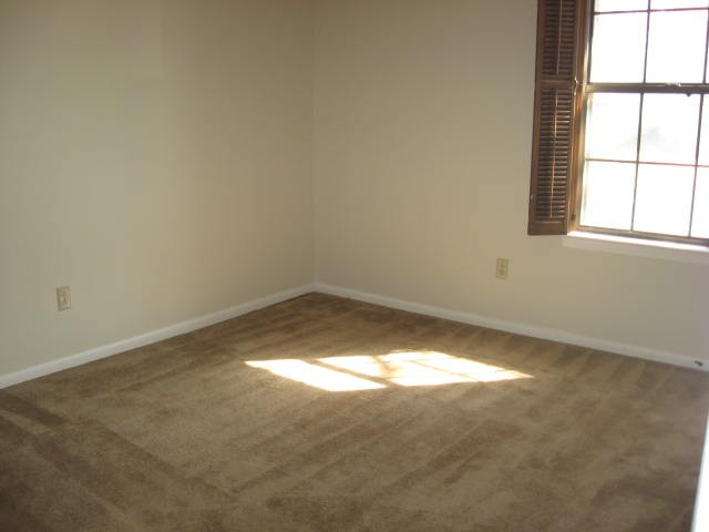  - Image #5