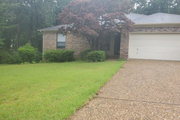 99 Woodlore Circle